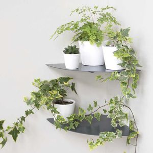 estanterías de pared