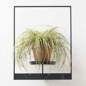 estanterías de pared