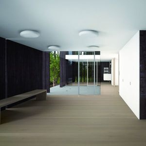 plafón contemporáneo