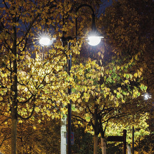 farola urbana