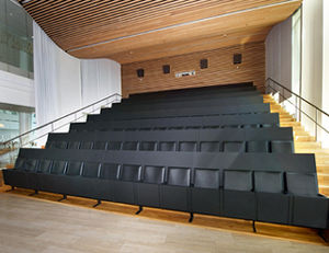 butaca de auditorio contemporáneo