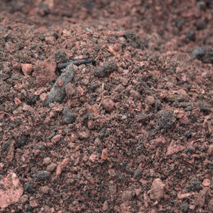 sustrato vermiculita