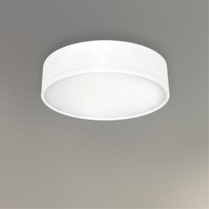 luminaria montada en superficie