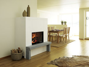 chimenea de leña