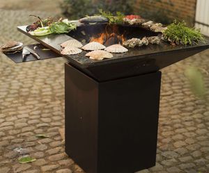 barbacoa de bioetanol
