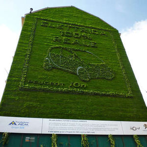 muro vegetal estabilizado