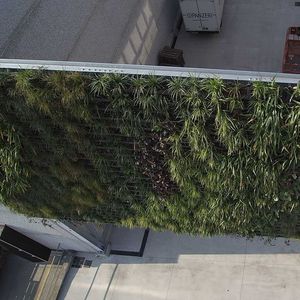 muro vegetal estabilizado