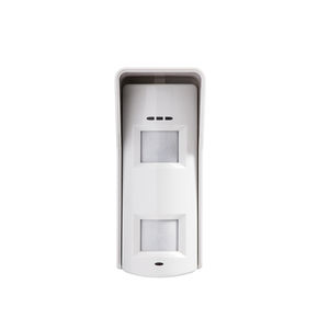 detector de intrusión