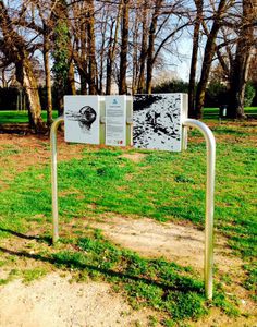 mobiliario de juego para parque de atracciones científico