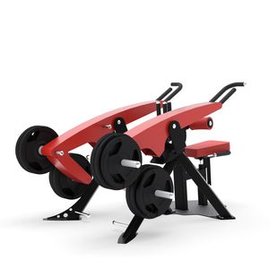 máquina de musculación fondos sentado