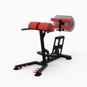 máquina de musculación extensión de espalda