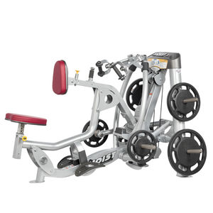 máquina de musculación extensión de espalda