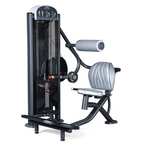 máquina de musculación extensión de espalda