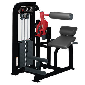 máquina de musculación extensión de espalda