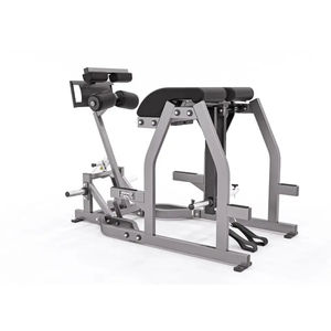 máquina de musculación extensión de espalda
