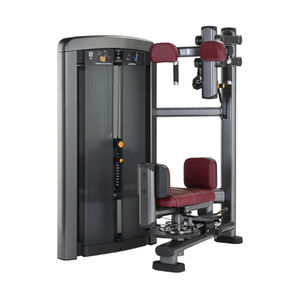 máquina de musculación torsión pélvica