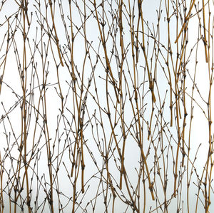panel decorativo de pared