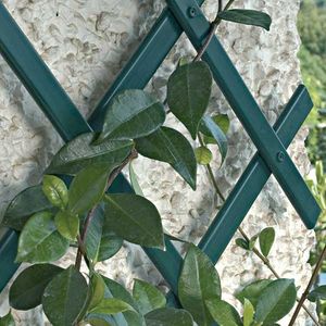 enrejado para muro vegetal