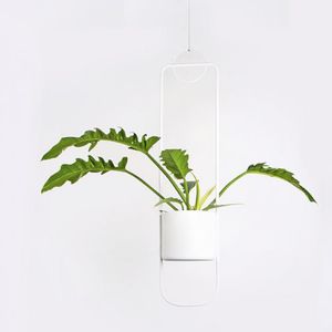 maceta de jardín suspendida
