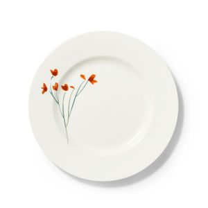 plato plana