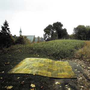 alfombra contemporánea