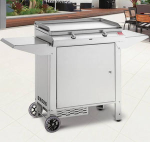 barbacoa de gas