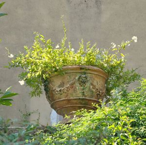 jardinera de arcilla