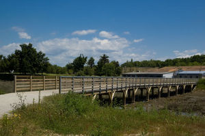 puente de madera