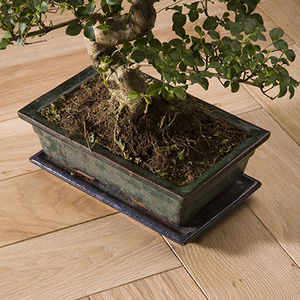 parquet multicapa