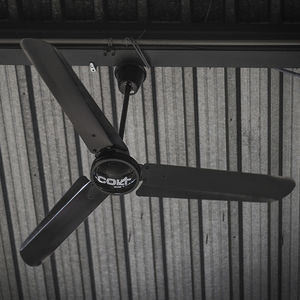 ventilador de techo