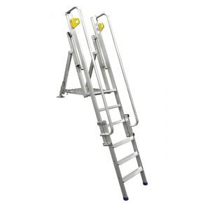 escalera profesional de acceso