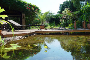 piscina biológica / enterrada / de piedra / de exterior