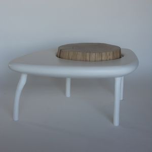 mesa de centro de diseño orgánico