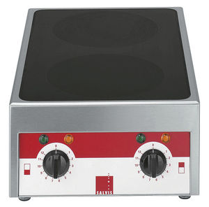 placa de cocina eléctrica