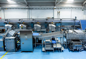 extractor de zumos profesional