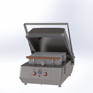 máquina de empaquetado al vacío profesional