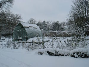 invernadero de hierro