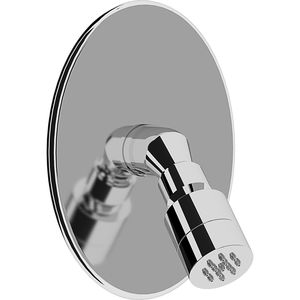 rociador de ducha de pared