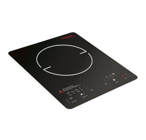 placa de cocina de inducción