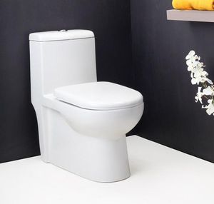 inodoro monobloque