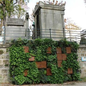 muro vegetal de exterior