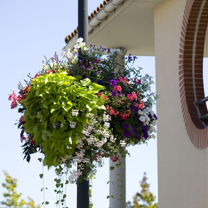 soporte para jardinera suspendida