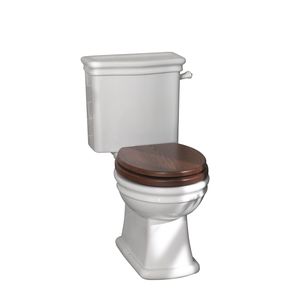 WC monobloque