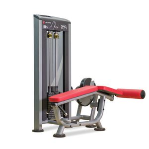máquina de musculación curl de piernas