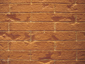 enlucido decorativo