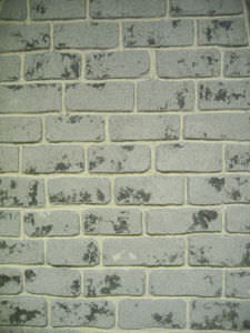 enlucido decorativo