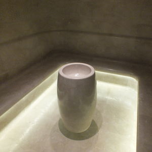 baño de vapor con ducha integrada
