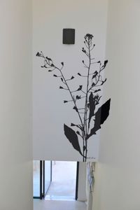 adhesivo de pared naturaleza
