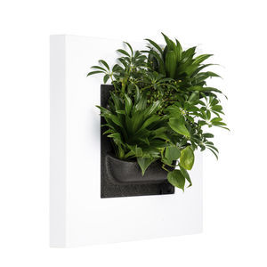 marco vegetal de plantas naturales