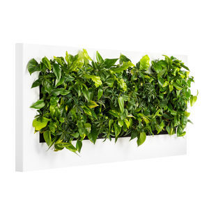 marco vegetal de plantas naturales